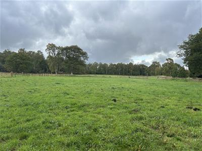 Click to view more details